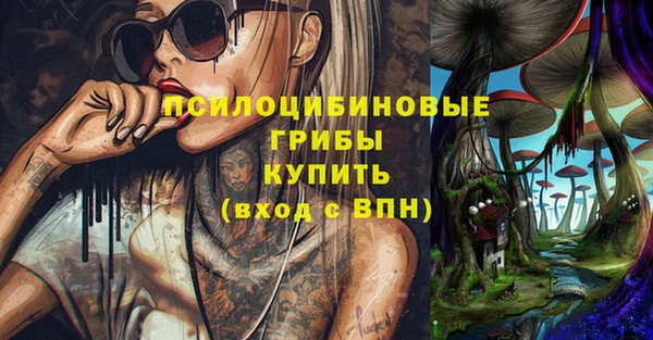 трава Армянск